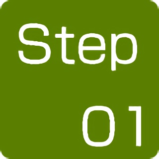 Step01